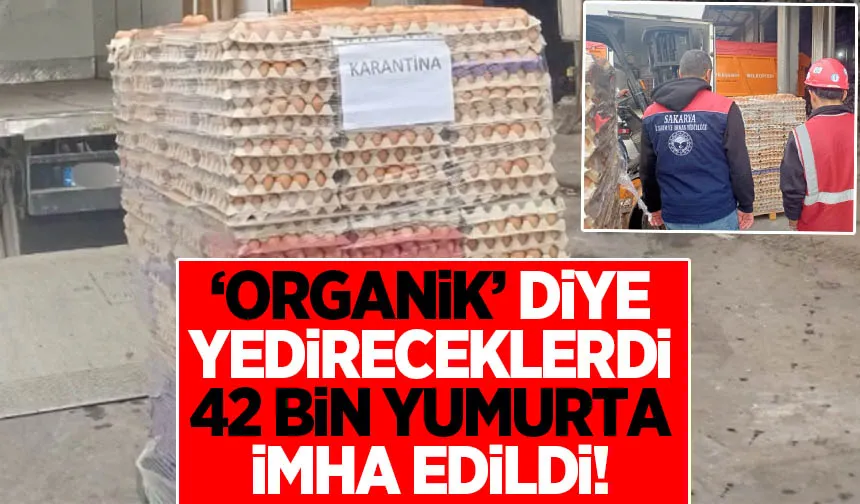 Organik diye satacaklardı: 42 bin yumurta ele geçirildi