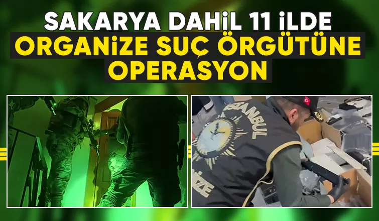 Organize suç örgütüne operasyon