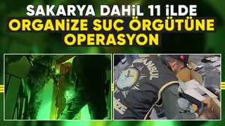 Organize suç örgütüne operasyon