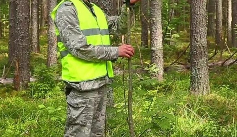 Orman Genel Müdürlüğü 22 orman mühendisi alacak