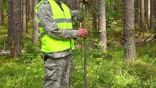 Orman Genel Müdürlüğü 22 orman mühendisi alacak