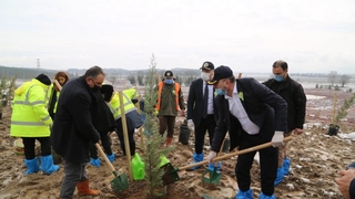 Orman Haftasında Kuzey Marmara Otoyolu’nu yeşillendirdiler