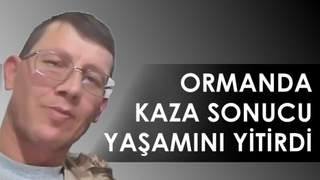 Başına tomruk çarpan orman işçisi öldü