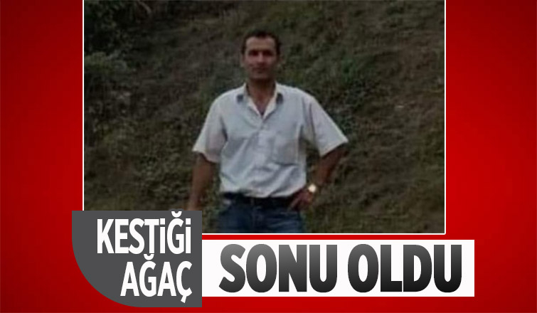 Orman işçisinin feci ölümü