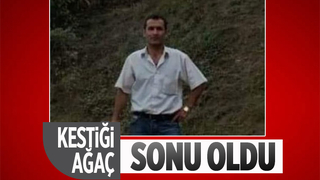 Orman işçisinin feci ölümü