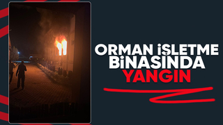 Orman İşletme Müdürlüğü'nde yangın