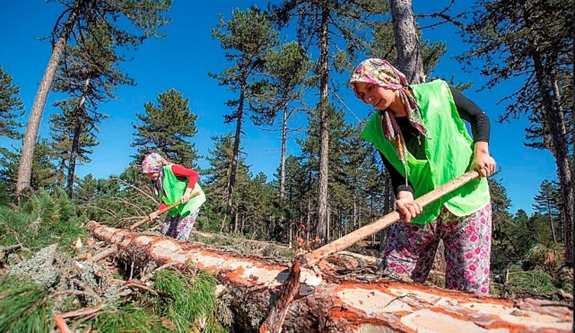 Orman köylülerine faizsiz kredi