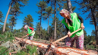 Orman köylülerine faizsiz kredi