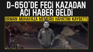 Orman muhafaza memuru kazada hayatını kaybetti