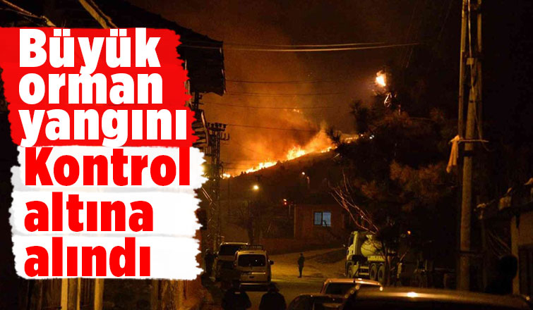 Orman yangını 12 saatte kontrol altına alındı