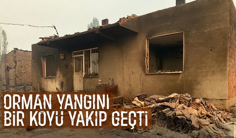 Orman yangını bir köyü yuttu