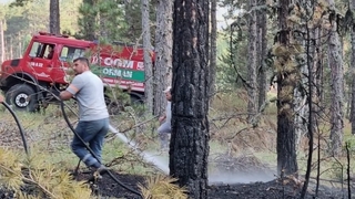 Orman yangını büyümeden söndürüldü