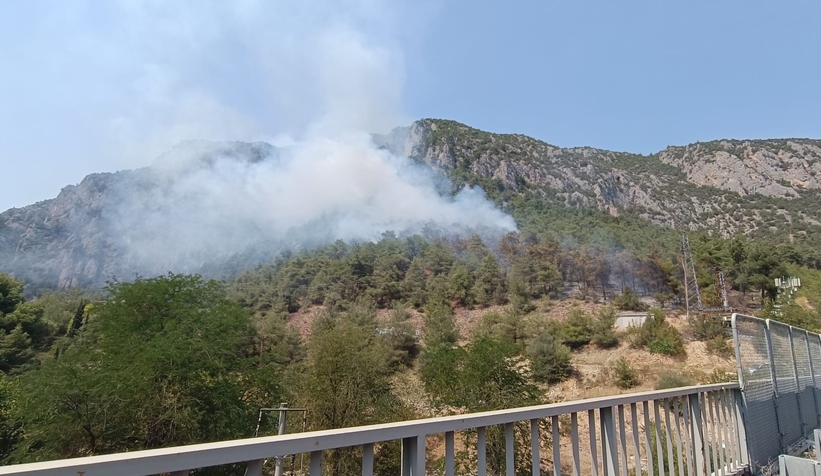 Orman yangını çıktı; Havadan ve karadan müdahale ediliyor