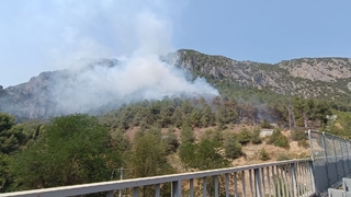 Orman yangını çıktı; Havadan ve karadan müdahale ediliyor