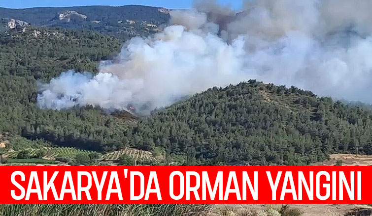Orman yangını çıktı; Müdahale sürüyor