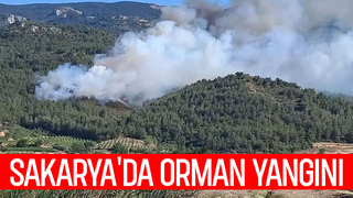 Orman yangını çıktı; Müdahale sürüyor