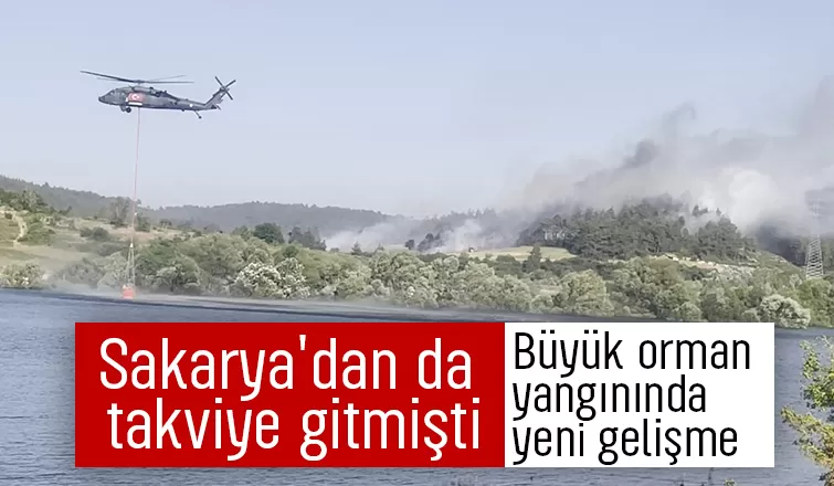 Orman yangını havadan ve karadan müdahale ile söndürüldü