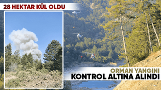 Orman yangını kontrol altına alındı