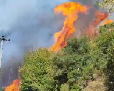 Orman yangını kontrol altına alındı