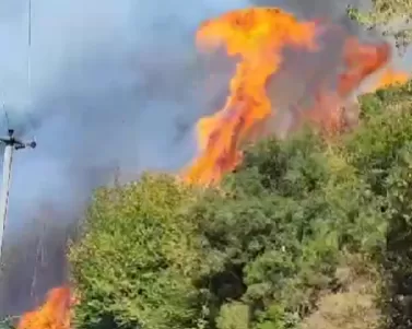 Orman yangını kontrol altına alındı