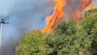 Orman yangını kontrol altına alındı