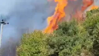 Orman yangını kontrol altına alındı