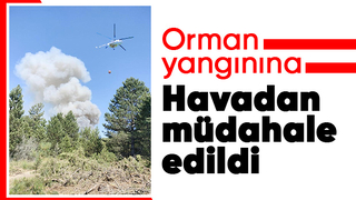 Orman yangını kontrol altına alındı