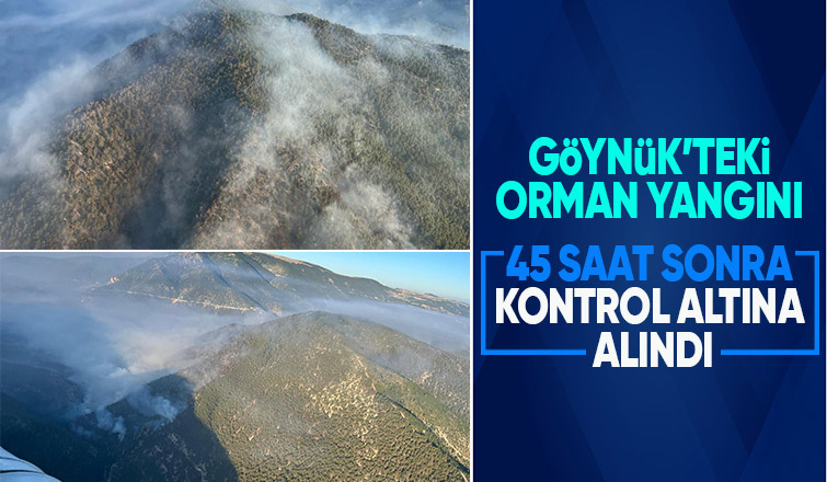 Orman yangını kontrol altına alındı