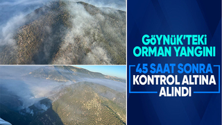 Orman yangını kontrol altına alındı