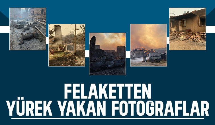 Orman yangını yakıp geçti; Görüntüler yürek yaktı