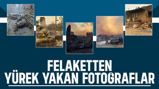 Orman yangını yakıp geçti; Görüntüler yürek yaktı