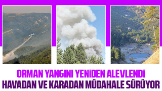Orman yangını yeniden alevlendi, kontrol altına alınamıyor