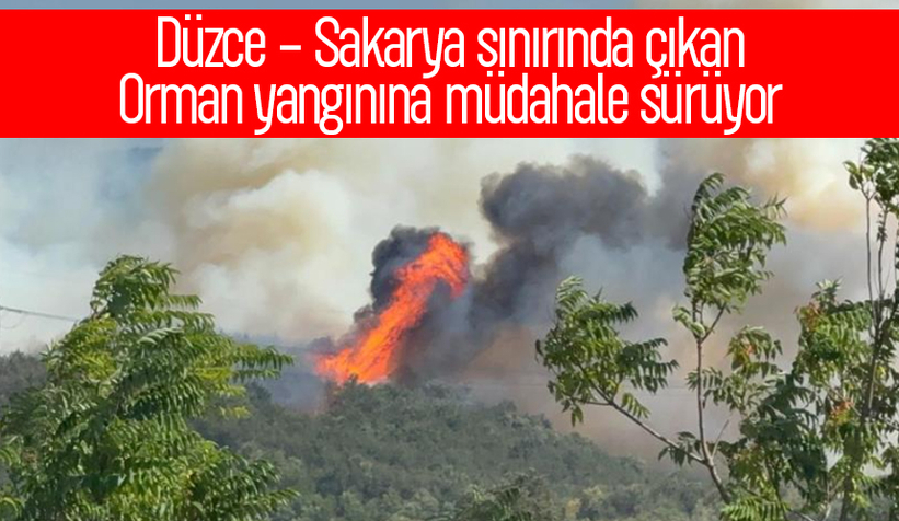 Orman yangınına müdahale sürüyor