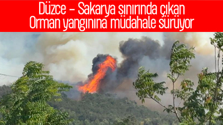 Orman yangınına müdahale sürüyor