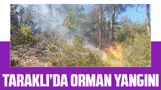 Orman yangınında 1 hektarlık alan zarar gördü