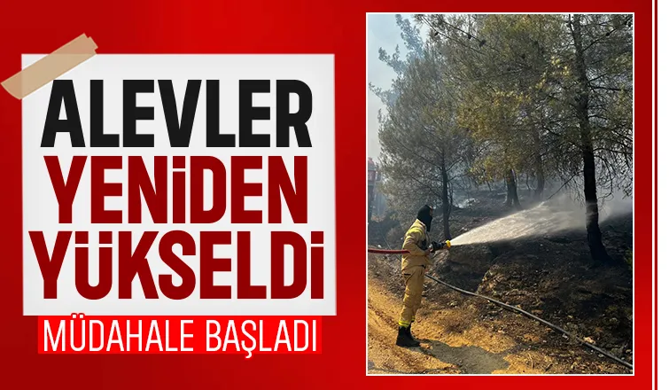Orman yangınında alevler yeniden yükseldi