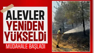 Orman yangınında alevler yeniden yükseldi