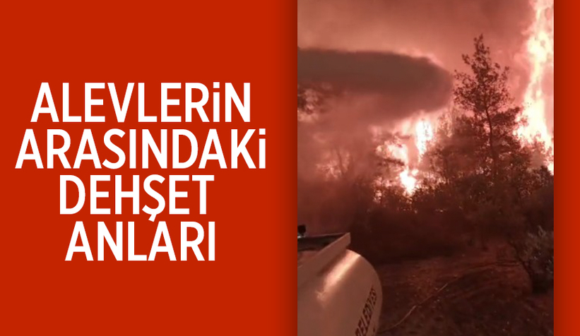 Orman yangınından yürek yakan görüntüler