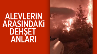 Orman yangınından yürek yakan görüntüler