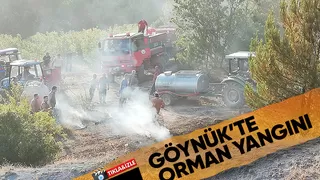 Orman Yangını