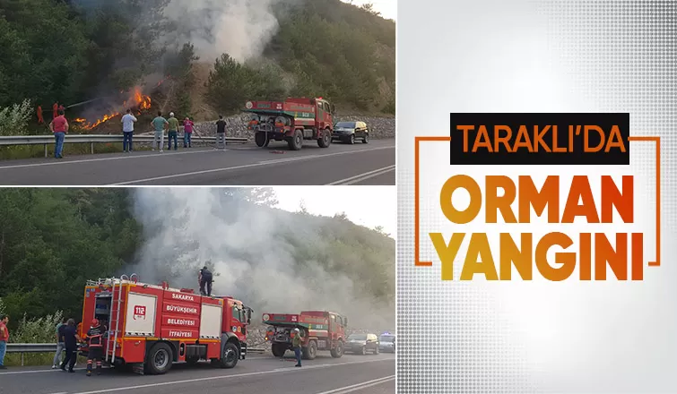 Orman yangını