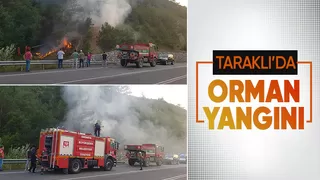 Orman yangını