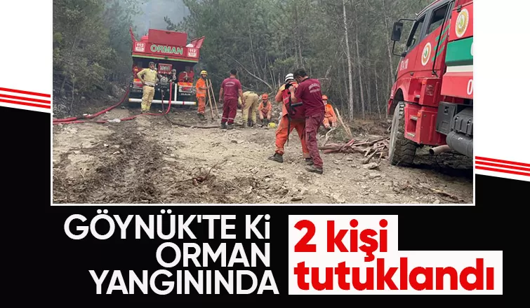 Orman yangınıyla ilgili 2 kişi tutuklandı