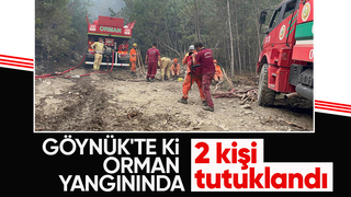 Orman yangınıyla ilgili 2 kişi tutuklandı