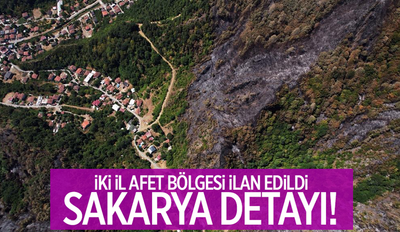 Orman yangınlarında felaketi yaşayan iki il afet bölgesi ilan edildi