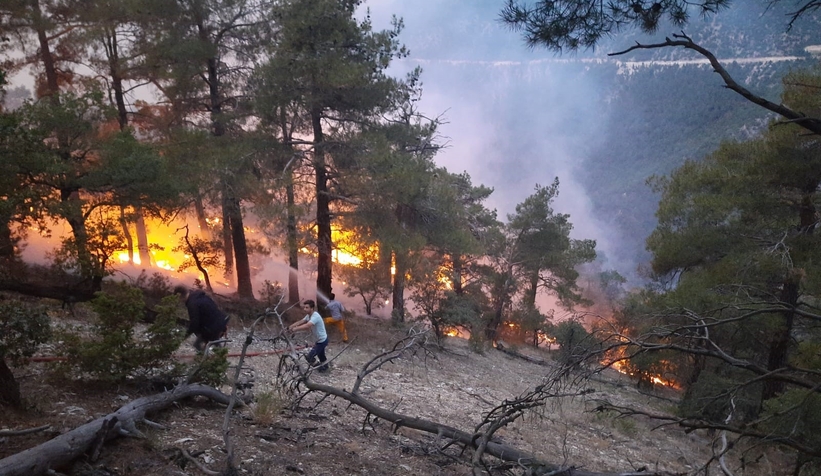 Ormana düşen yıldırım yangın çıkardı