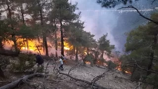 Ormana düşen yıldırım yangın çıkardı