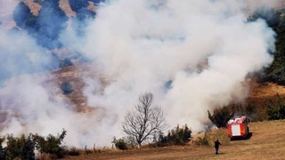 Ormana sıçramadan söndürüldü