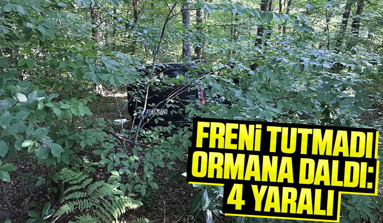 Ormana uçan araçtaki 4 kişi yaralandı