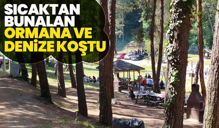 Ormana ve denize koştular